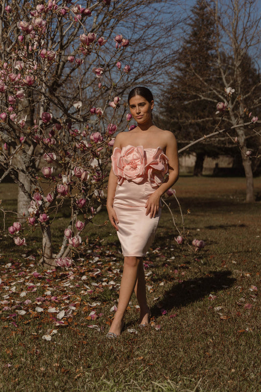 Vestido Cloé - rosa
