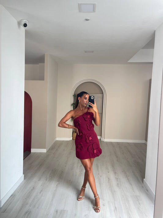 Vestido Clara - bordeux
